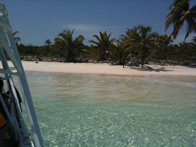 Excursion de snorkel en el agua clara